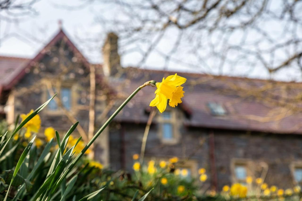 Gasthaus Penrhiw Priory St Davids Exterior foto